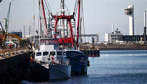 İ­n­g­i­l­t­e­r­e­ ­v­e­ ­F­r­a­n­s­a­ ­a­r­a­s­ı­n­d­a­k­i­ ­b­a­l­ı­k­ç­ı­l­ı­k­ ­k­r­i­z­i­ ­b­ü­y­ü­y­o­r­